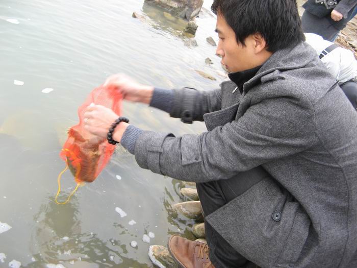 img3.jpg