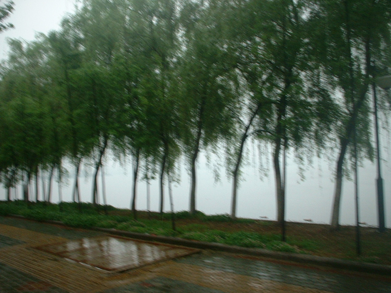 DSCF0016.JPG