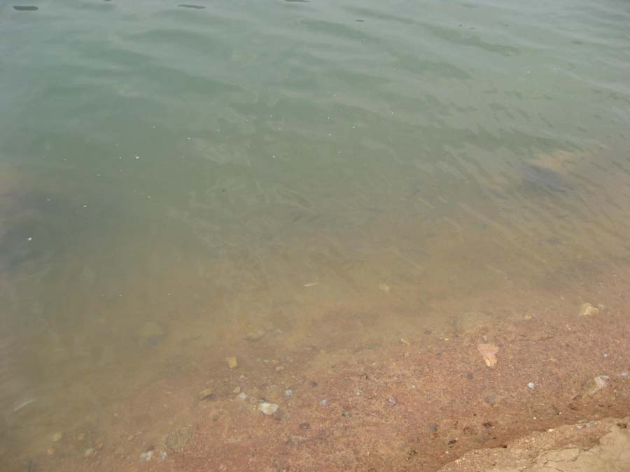 IMG_1441.jpg