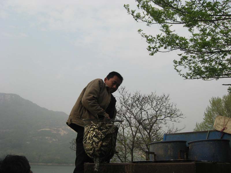 IMG_1376.jpg