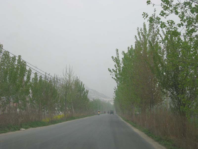 IMG_1361.jpg