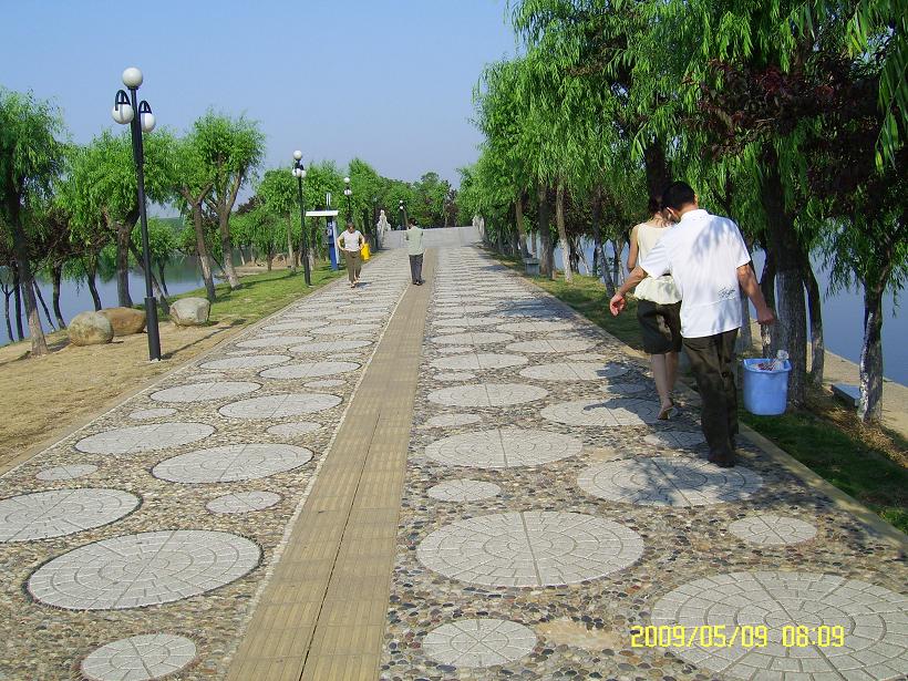 SV101144.JPG