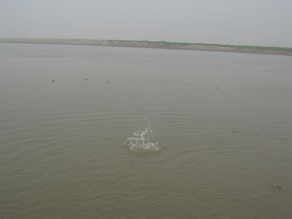 IMG_0872.JPG