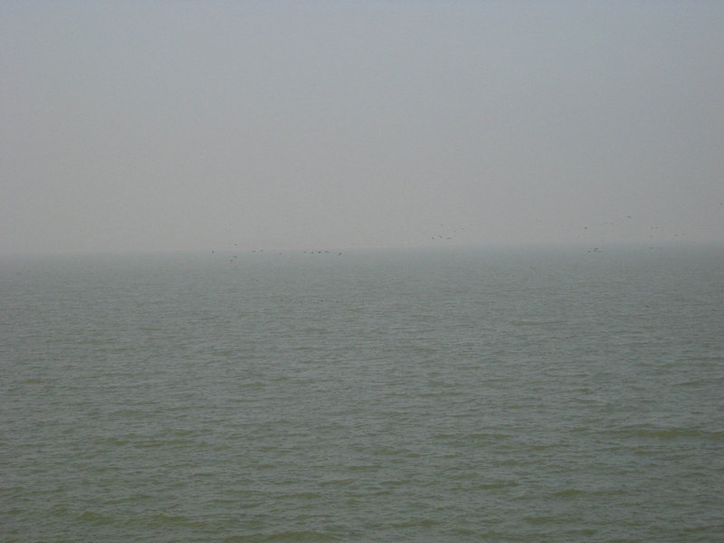 IMG_3783.jpg