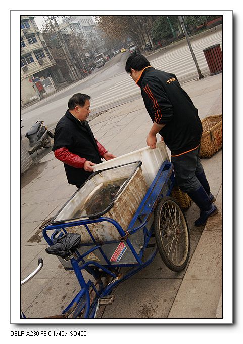 nEO_IMG_DSC00603.jpg