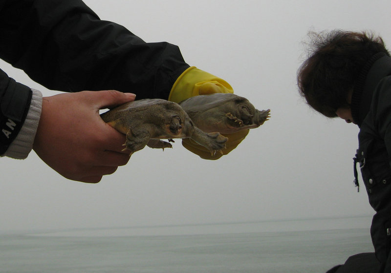 IMG_4093.jpg
