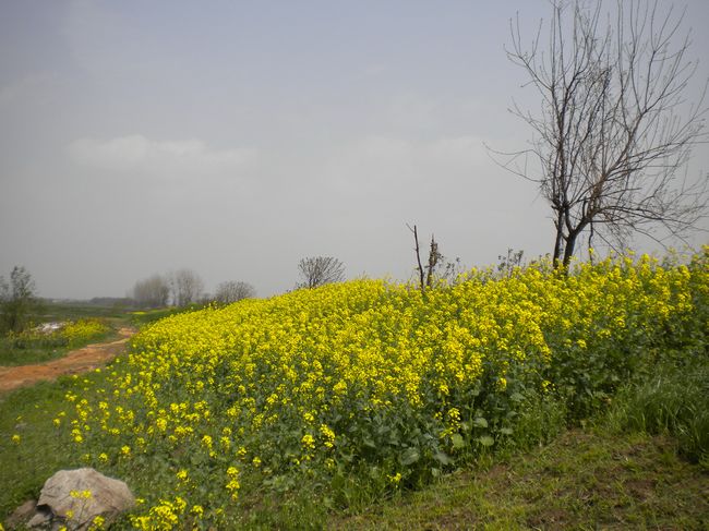 DSCN0157.JPG