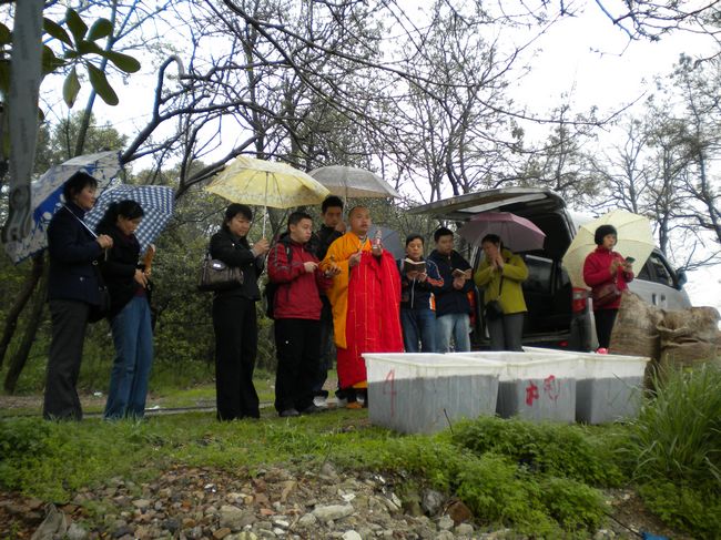 DSCN0200.JPG