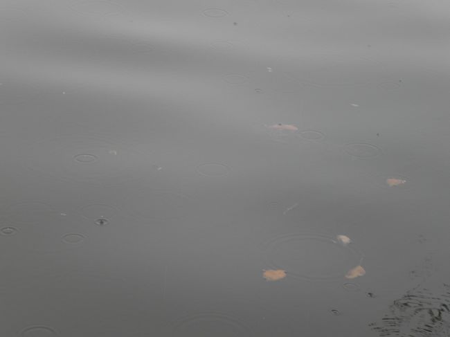 DSCN0197.JPG