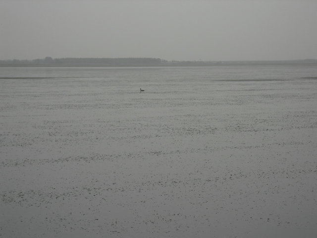 CIMG0354.JPG