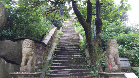 20180531_113513.jpg