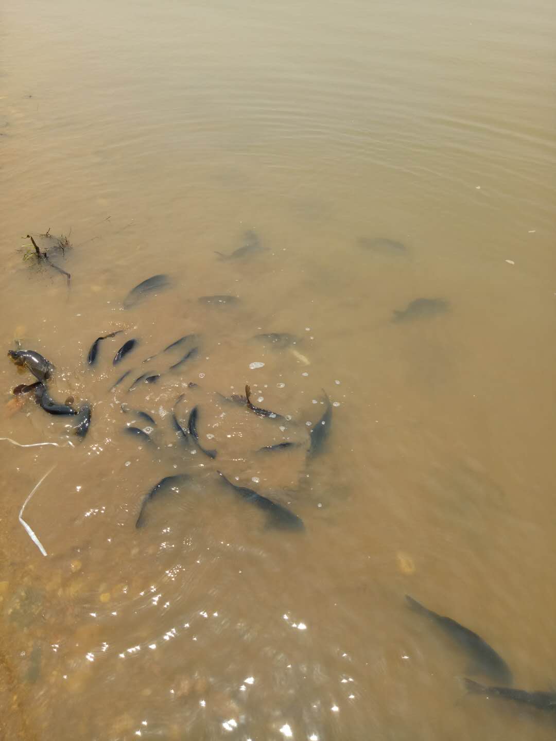 ΢ͼƬ_2019052305.jpg