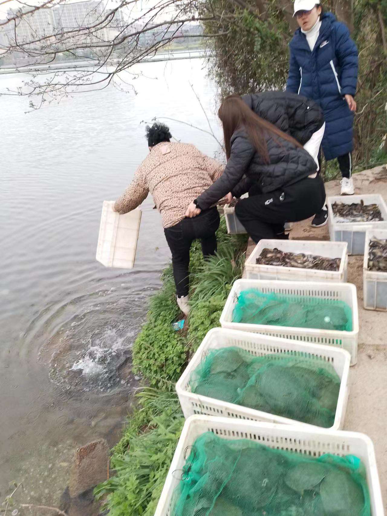 WeChat Image_20230318171404.jpg