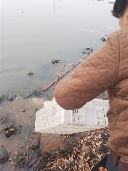 2_޸.jpg
