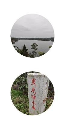 IMG_20250317_172828.jpg